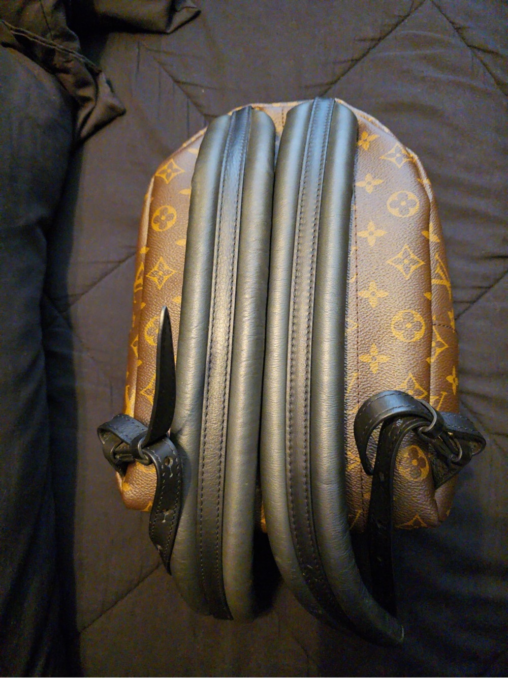 AUTHENTIC Louis Vuitton Palm Springs PM Backpack! - Picture 4 of 8